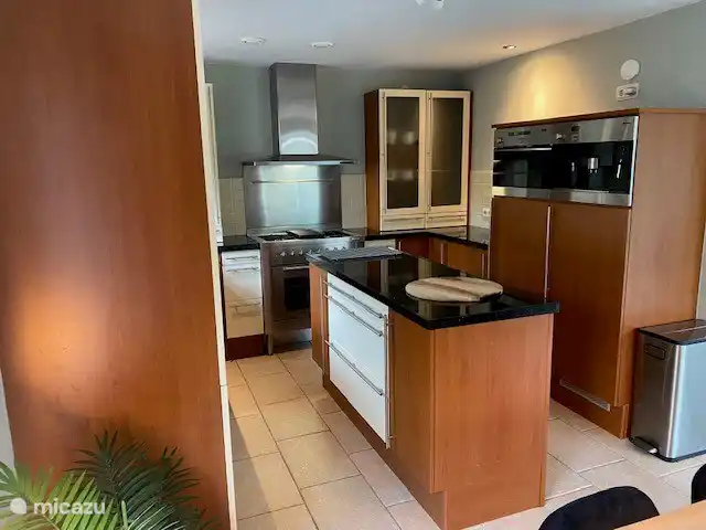 Offene Küche mit 90 cm breitem Gasherd und Backofen, Dunstabzugshaube, Kombi-Mikrowelle, Kaffeemaschine, Geschirrspüler, Wasserkocher, Toaster 