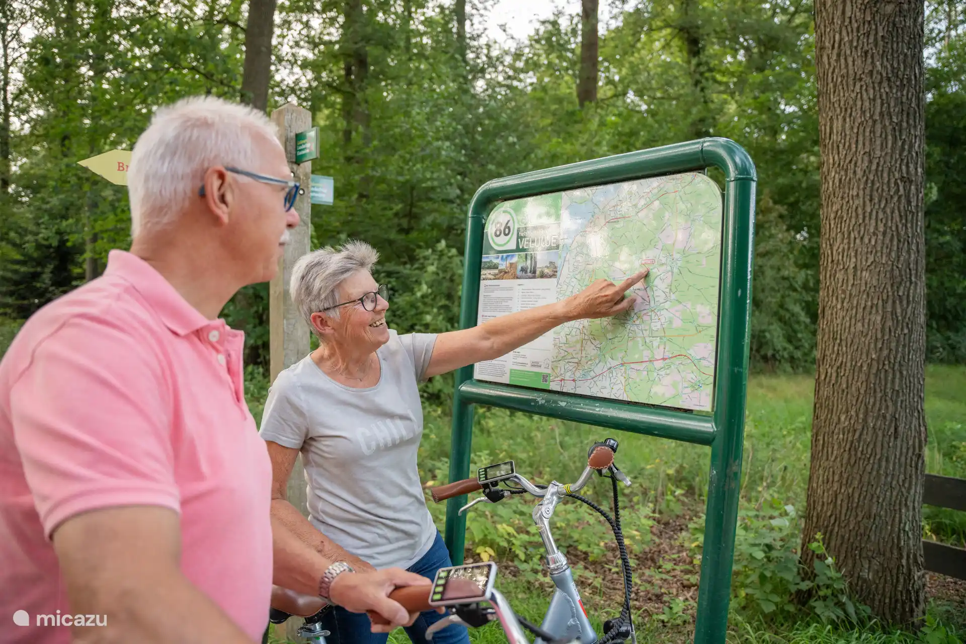 Entdecken Sie die einzigartige Veluwe mit dem Fahrrad