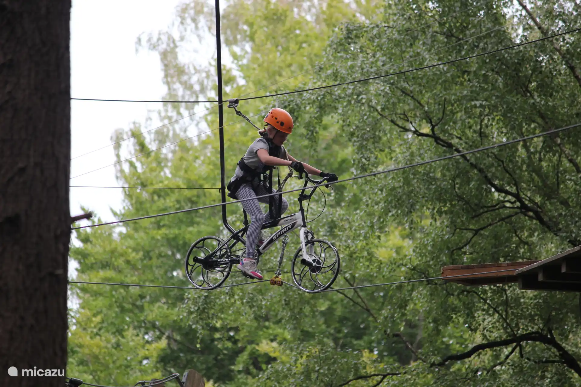Entdecken Sie die einzigartige Veluwe und steigen Sie im Kletterwald Garderen in die Lüfte