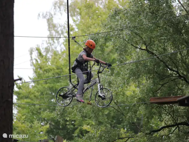 Oudveluwe - cabaña - bosque en Países Bajos, Güeldres, Voorthuizen - casa vacacional Descubra Unique The Veluwe y eleve en el aire en el bosque de escalada Garderen