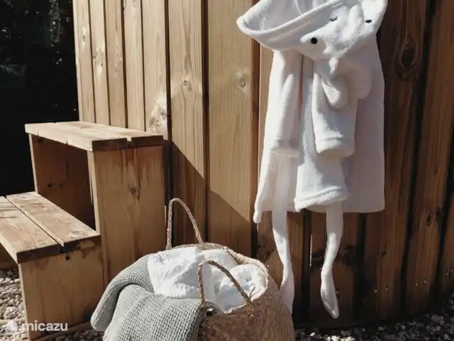 Oudveluwe - cabaña - bosque en Países Bajos, Güeldres, Voorthuizen - casa vacacional Detalles de la bañera de hidromasaje