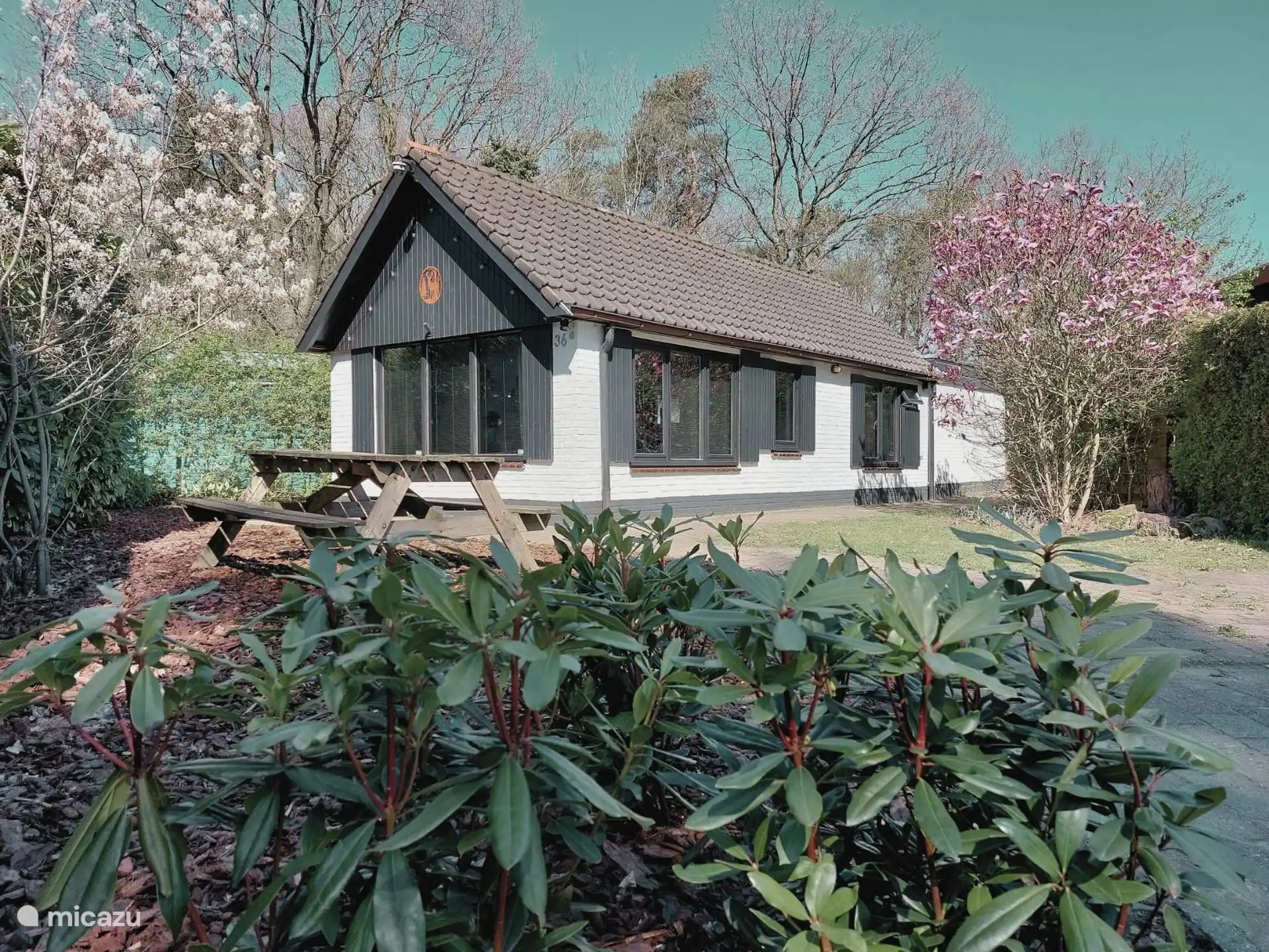 Oudveluwe - Ferienhaus - Wald in Niederlande, Gelderland, Voorthuizen - ferienhaus