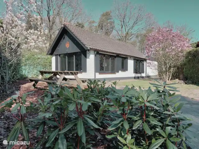 Oudveluwe - cabaña - bosque en Países Bajos, Güeldres, Voorthuizen - casa vacacional Oudveluwe - cabaña - bosque en Países Bajos, Güeldres, Voorthuizen - casa vacacional