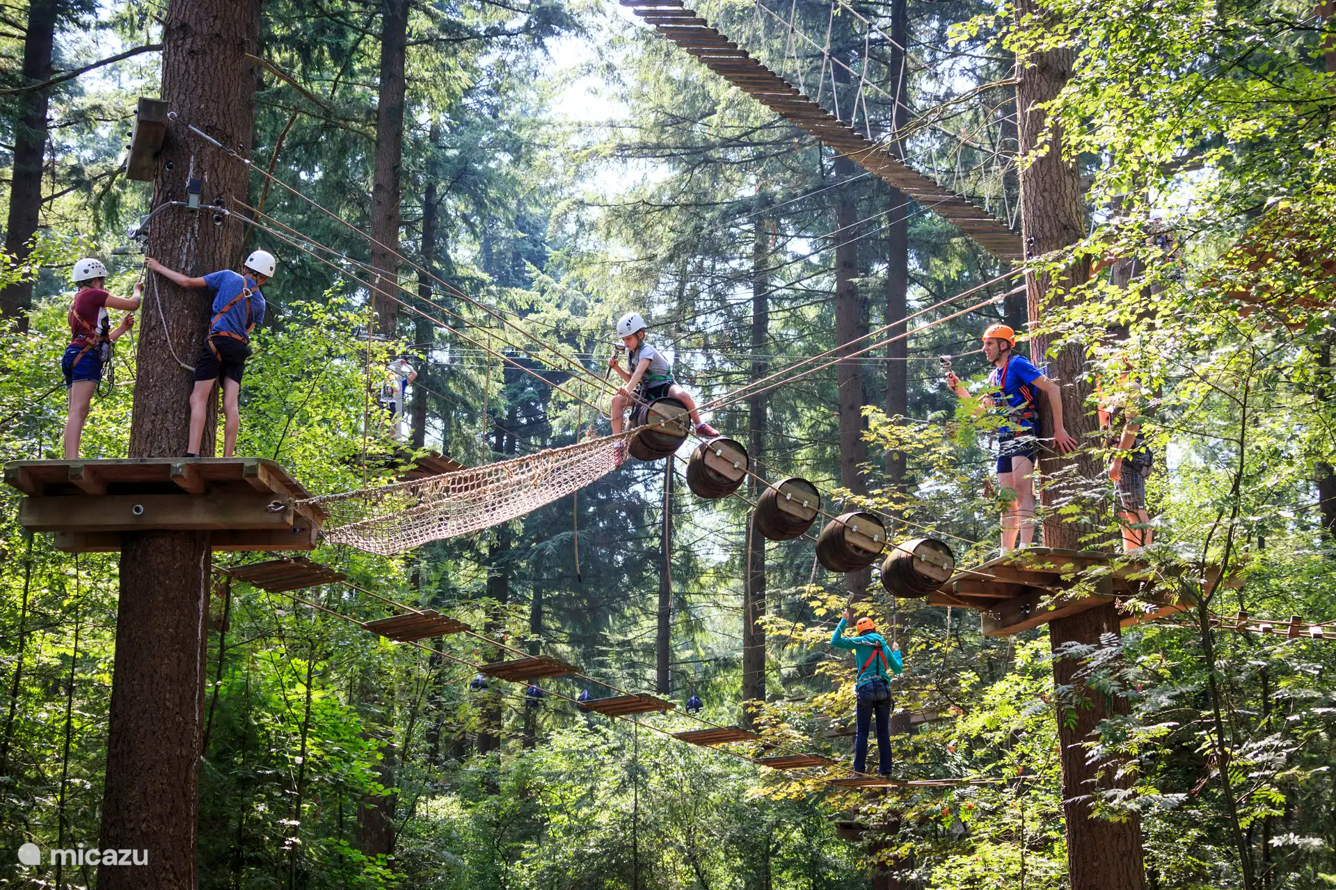 Entdecken Sie die einzigartige Veluwe und steigen Sie im Kletterwald Garderen in die Lüfte