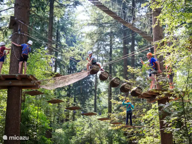 Oudveluwe - cabaña - bosque en Países Bajos, Güeldres, Voorthuizen - casa vacacional Descubra Unique The Veluwe y eleve en el aire en el bosque de escalada Garderen