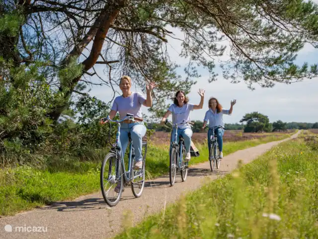Oudveluwe - cabaña - bosque en Países Bajos, Güeldres, Voorthuizen - casa vacacional Descubra Unique The Veluwe con toda la familia en bicicleta.
Alquiler en el especialista de Veluwe Garderen