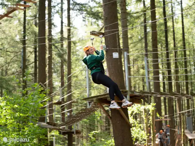 Oudveluwe - cabaña - bosque en Países Bajos, Güeldres, Voorthuizen - casa vacacional Descubra Unique De Veluwe y eleve en el aire en el bosque de escalada Garderen. ¡Tú decides hasta dónde llegas!