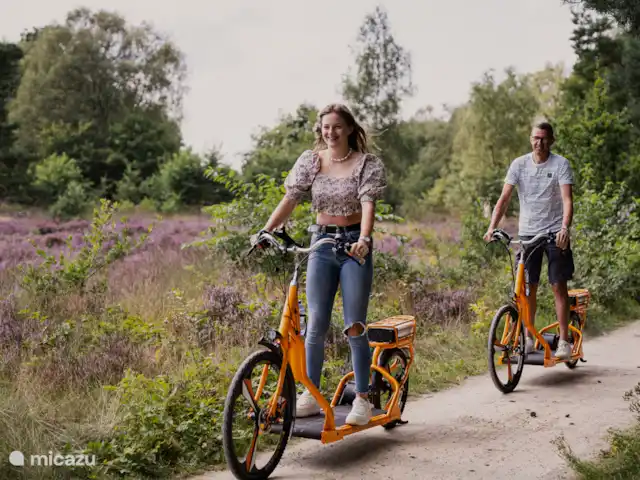 Oudveluwe - cabaña - bosque en Países Bajos, Güeldres, Voorthuizen - casa vacacional Descubra Unique The Veluwe con toda la familia en el E-scooter.
Alquiler en el especialista de Veluwe Garderen