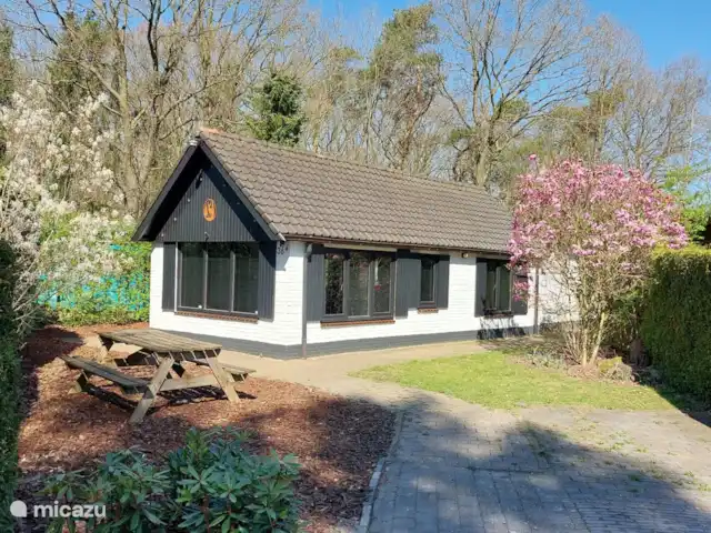 Oudveluwe - cabaña - bosque en Países Bajos, Güeldres, Voorthuizen - casa vacacional Vista de la cabaña con plaza de aparcamiento