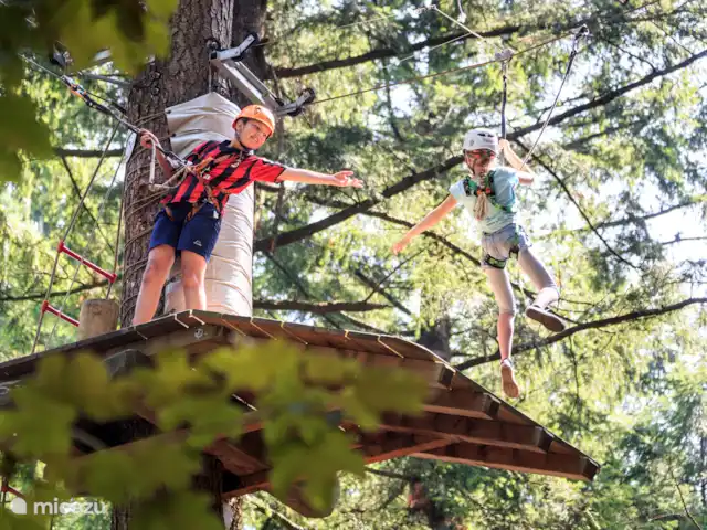 Oudveluwe - cabaña - bosque en Países Bajos, Güeldres, Voorthuizen - casa vacacional Descubra Unique The Veluwe y eleve en el aire en el bosque de escalada Garderen