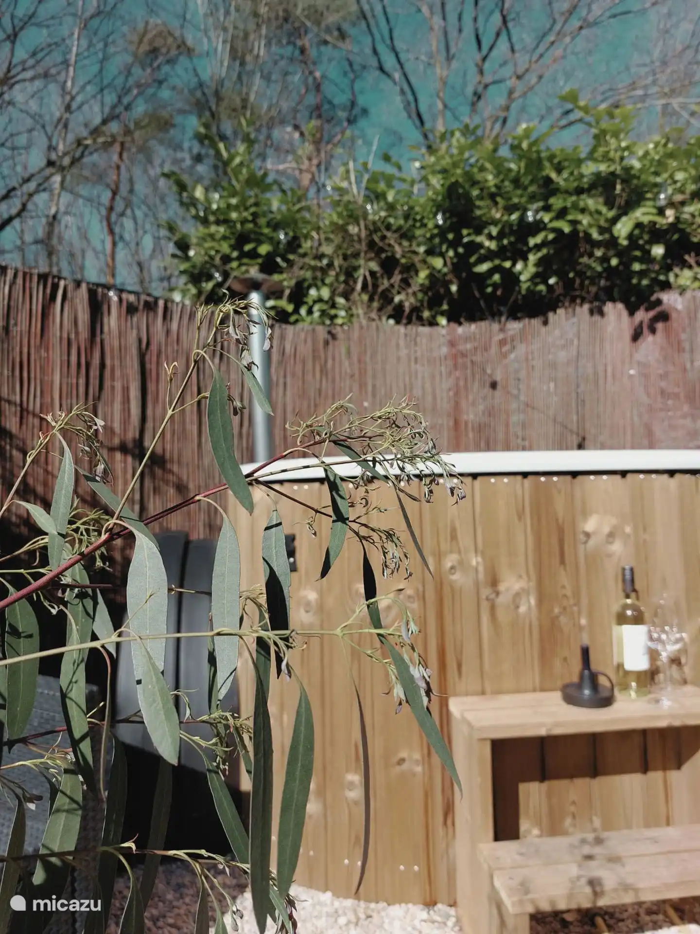 Details zum Whirlpool