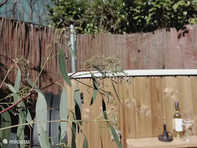 Oudveluwe - cabaña - bosque en Países Bajos, Güeldres, Voorthuizen - casa vacacional Detalles de la bañera de hidromasaje
