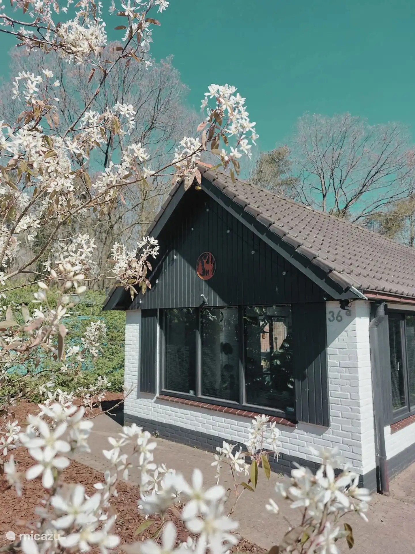 Aussicht mit der wunderschönen Blüte