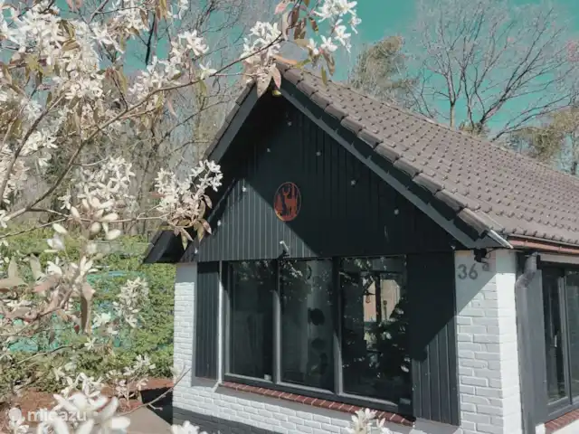 Oudveluwe - cabaña - bosque en Países Bajos, Güeldres, Voorthuizen - casa vacacional Vista con la hermosa flor