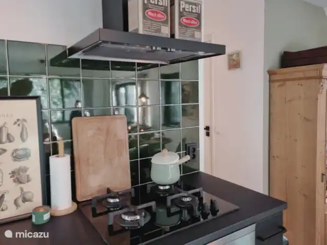 Oudveluwe - cabaña - bosque en Países Bajos, Güeldres, Voorthuizen - casa vacacional La estufa de gas con campana extractora