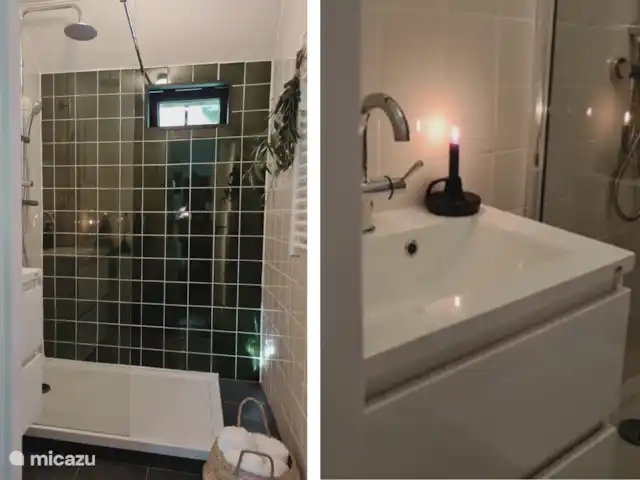 Oudveluwe - cabaña - bosque en Países Bajos, Güeldres, Voorthuizen - casa vacacional El cuarto de baño con lavabo