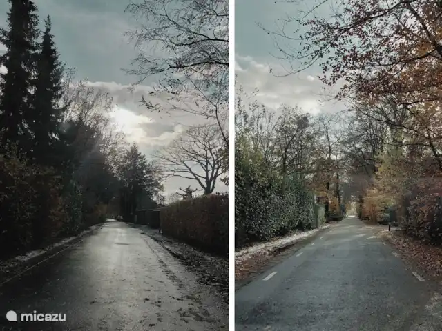 Oudveluwe - cabaña - bosque en Países Bajos, Güeldres, Voorthuizen - casa vacacional El camino al parque.