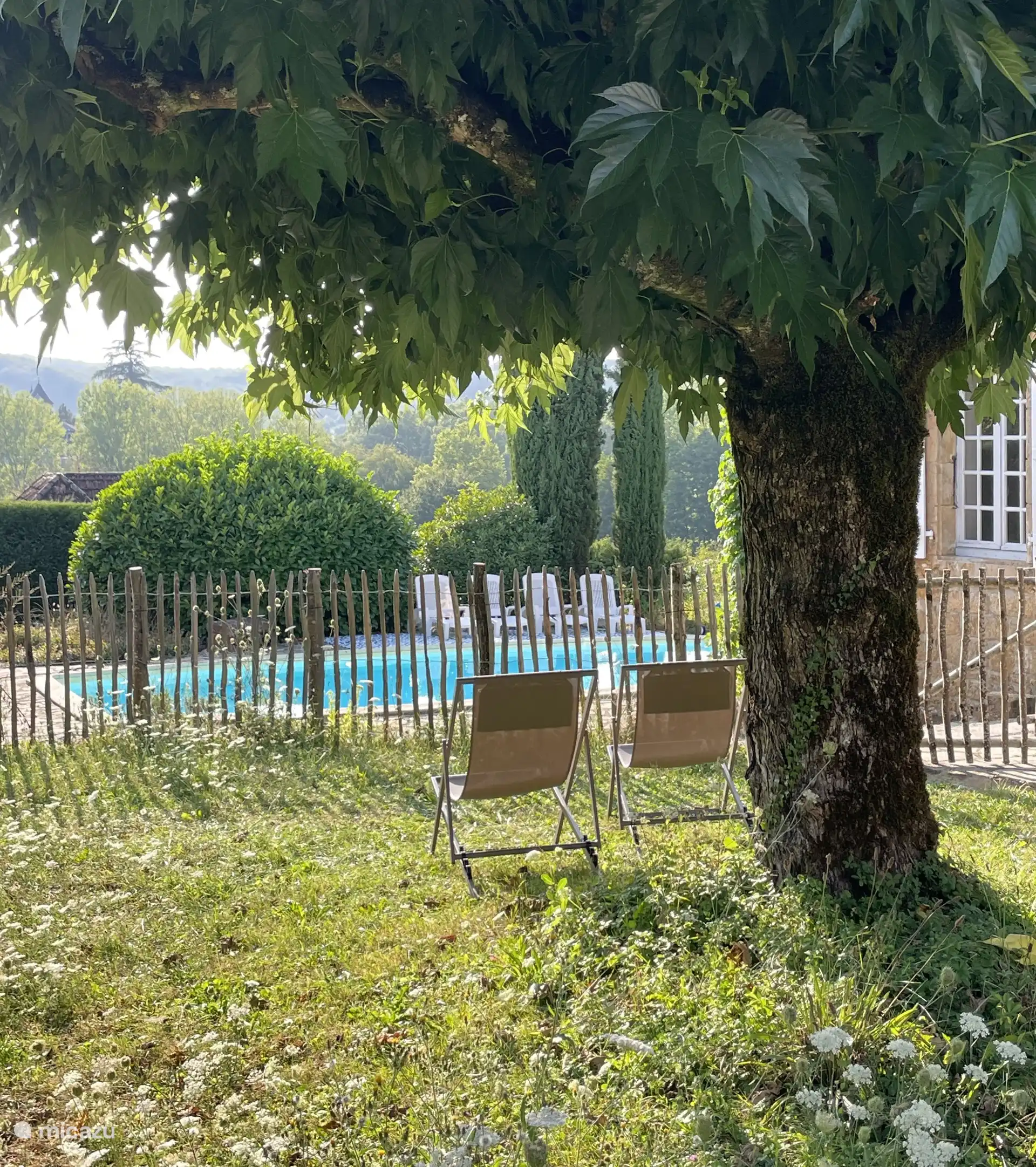 View from garden to swimming pool