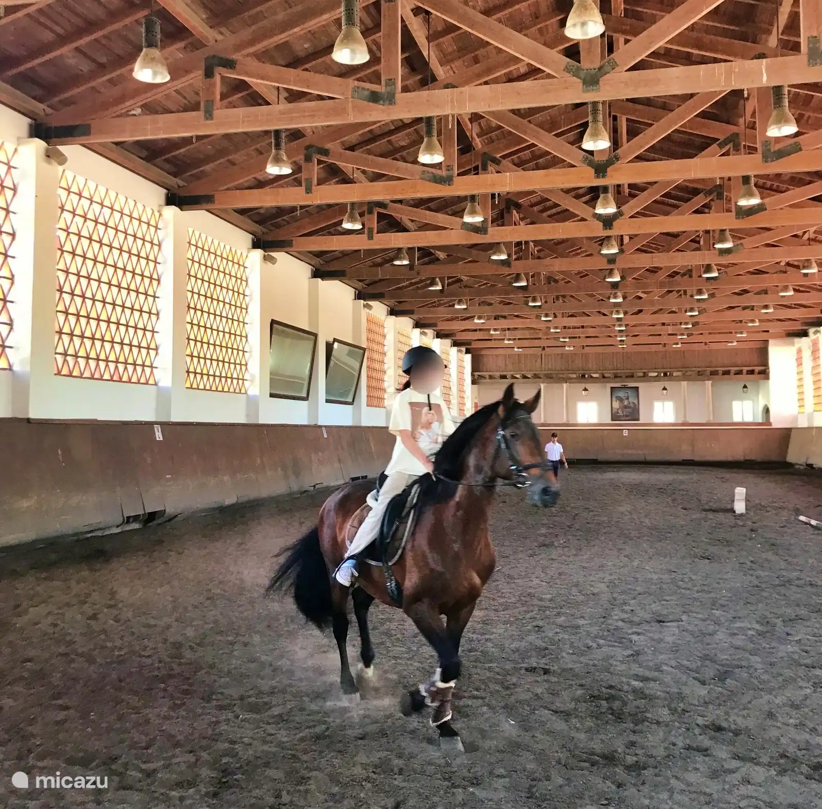 Die Royal Stables erreichen Sie nach einer 20-minütigen Autofahrt. Hier können Sie Unterricht buchen. 