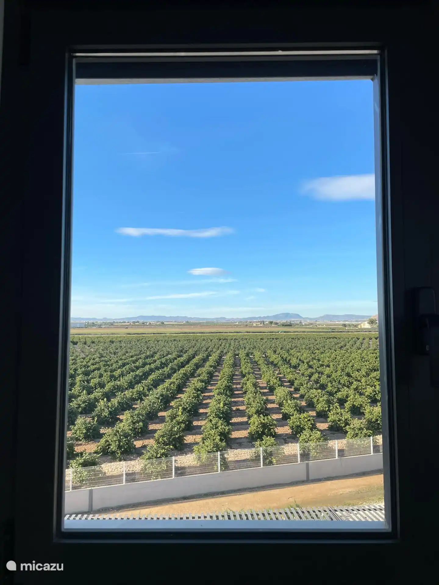 Vista desde el dormitorio de los campos de cítricos 
