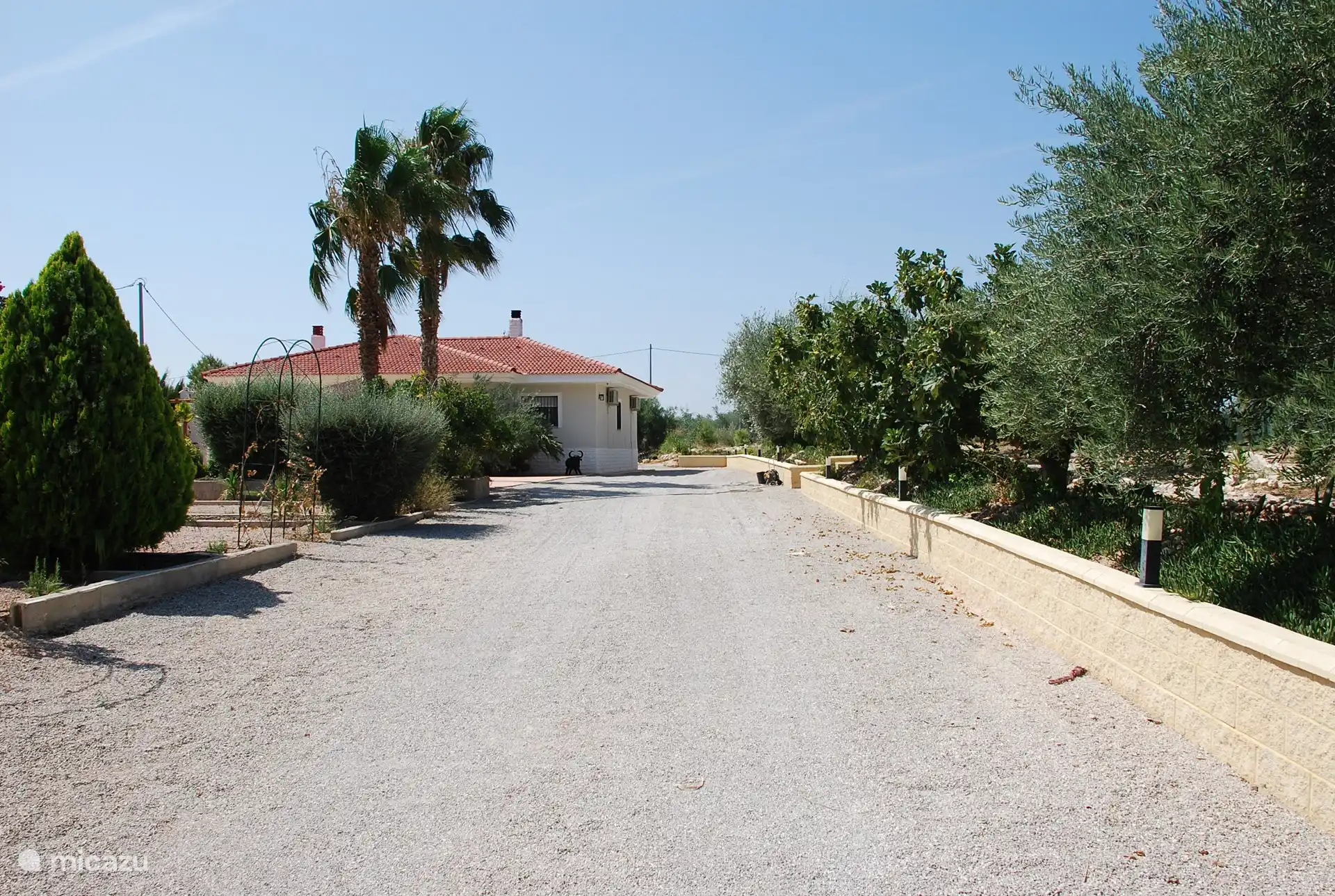 Allée privée spacieuse 