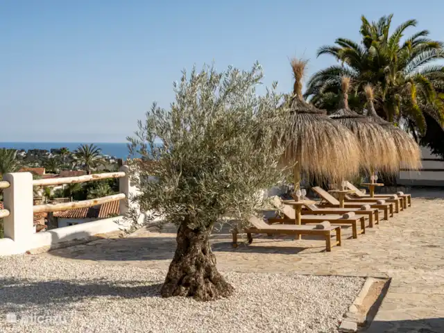 Casa Nassau Moraira / Benissa | Espagne, Costa Blanca, Benissa - villa Notre olivier 'Rita' de 80 ans