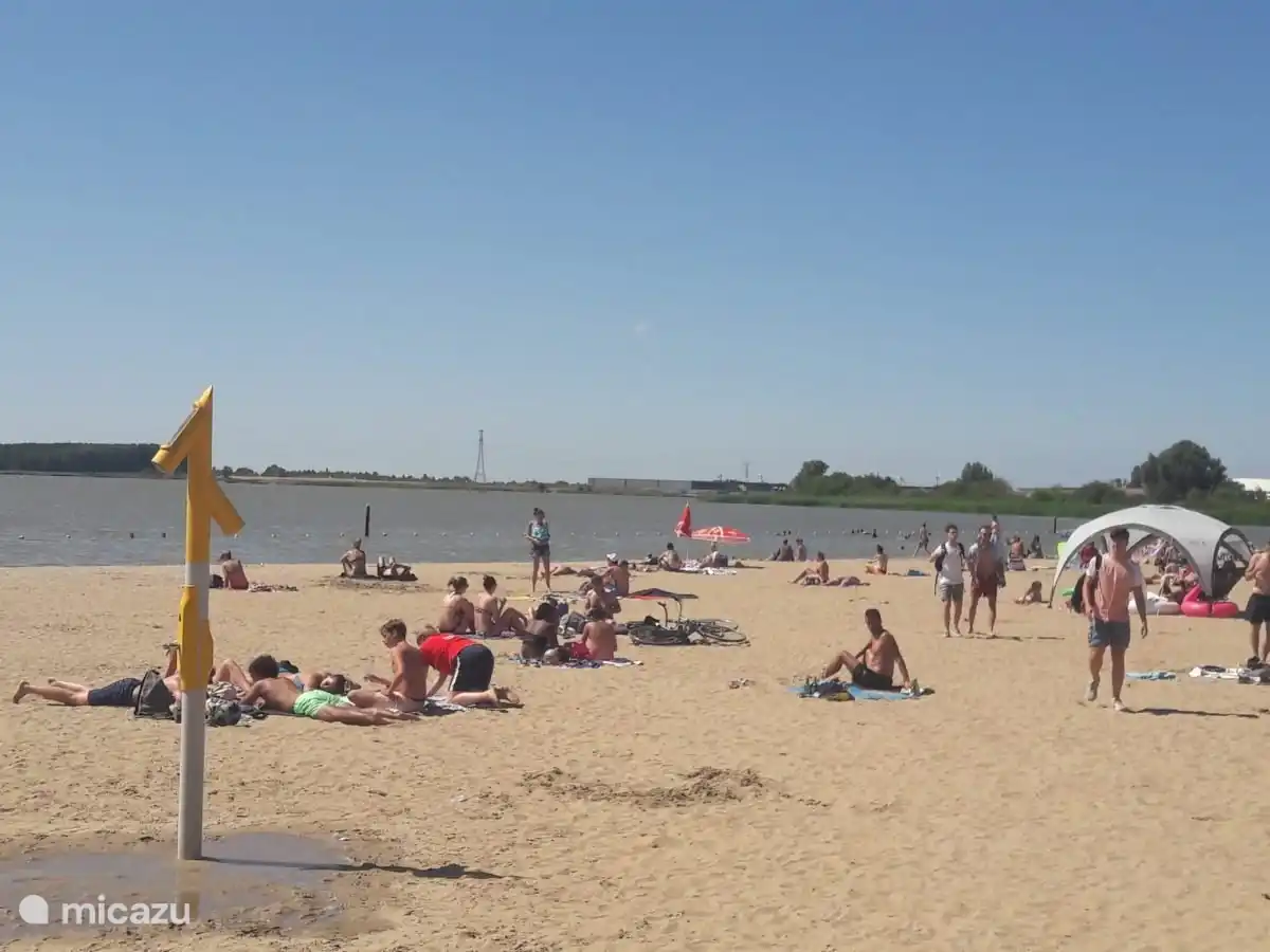 Strand auf dem Teller