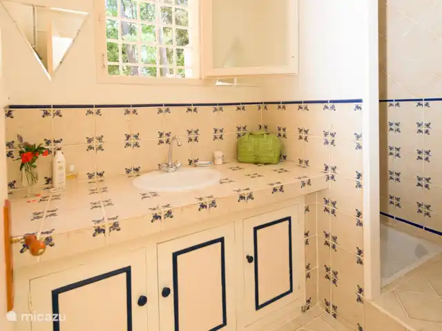 Sur Place | France, Var, Carcès - villa douche, lavabo appartement