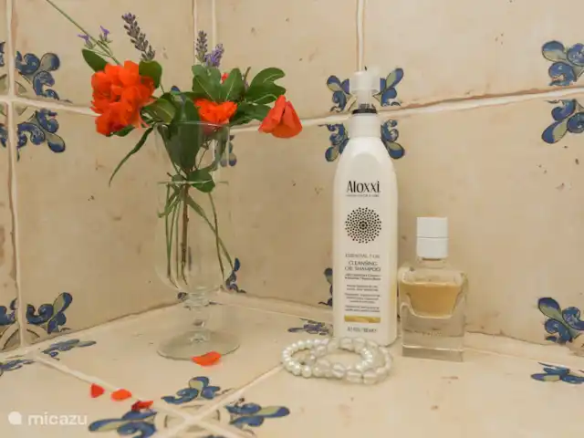 Sur Place | France, Var, Carcès - villa Appartement lavabo