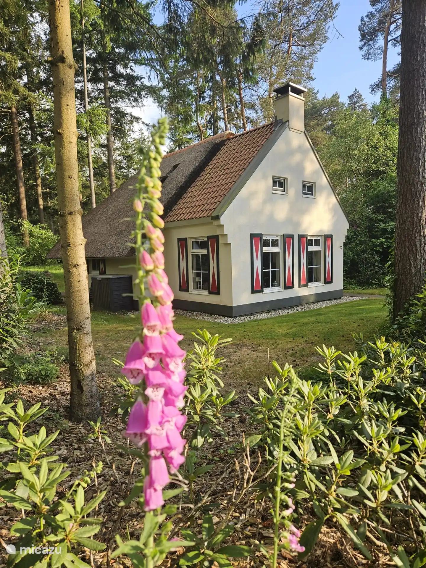 Idyllischer Ort in Niederlande, Drenthe, Diever - ferienhaus