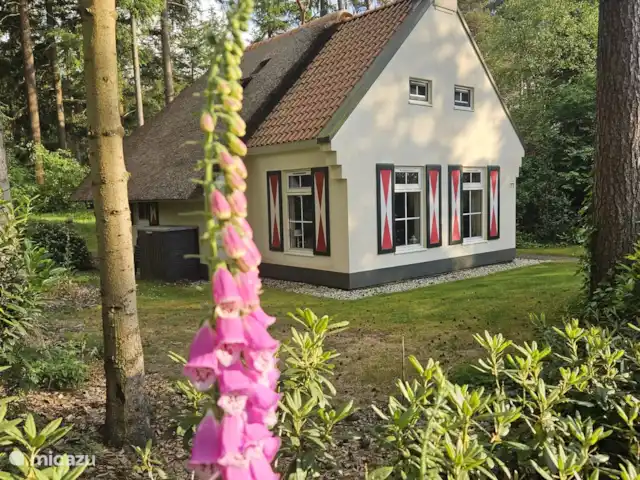 Lieu idyllique | Pays-Bas, Drenthe, Diever - maison de vacances Lieu idyllique | Pays-Bas, Drenthe, Diever - maison de vacances