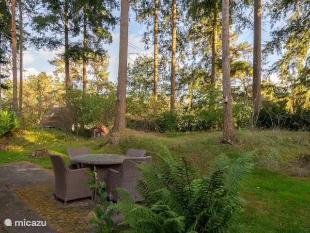Lieu idyllique | Pays-Bas, Drenthe, Diever - maison de vacances Arrière du chalet avec terrasse et grand jardin boisé, entouré d’un mur de terre
