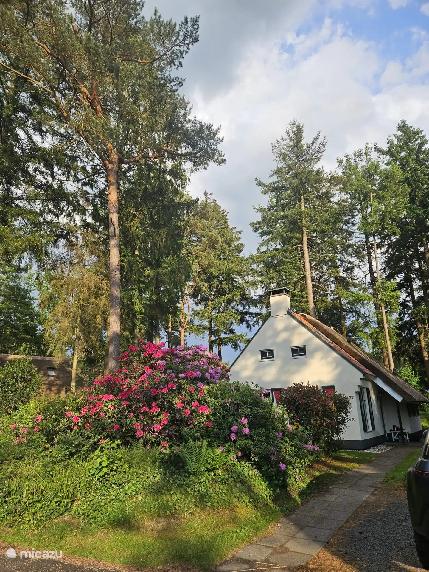 Vorderansicht des Ferienhauses mit Waldgarten vom Parkplatz am Ferienhaus