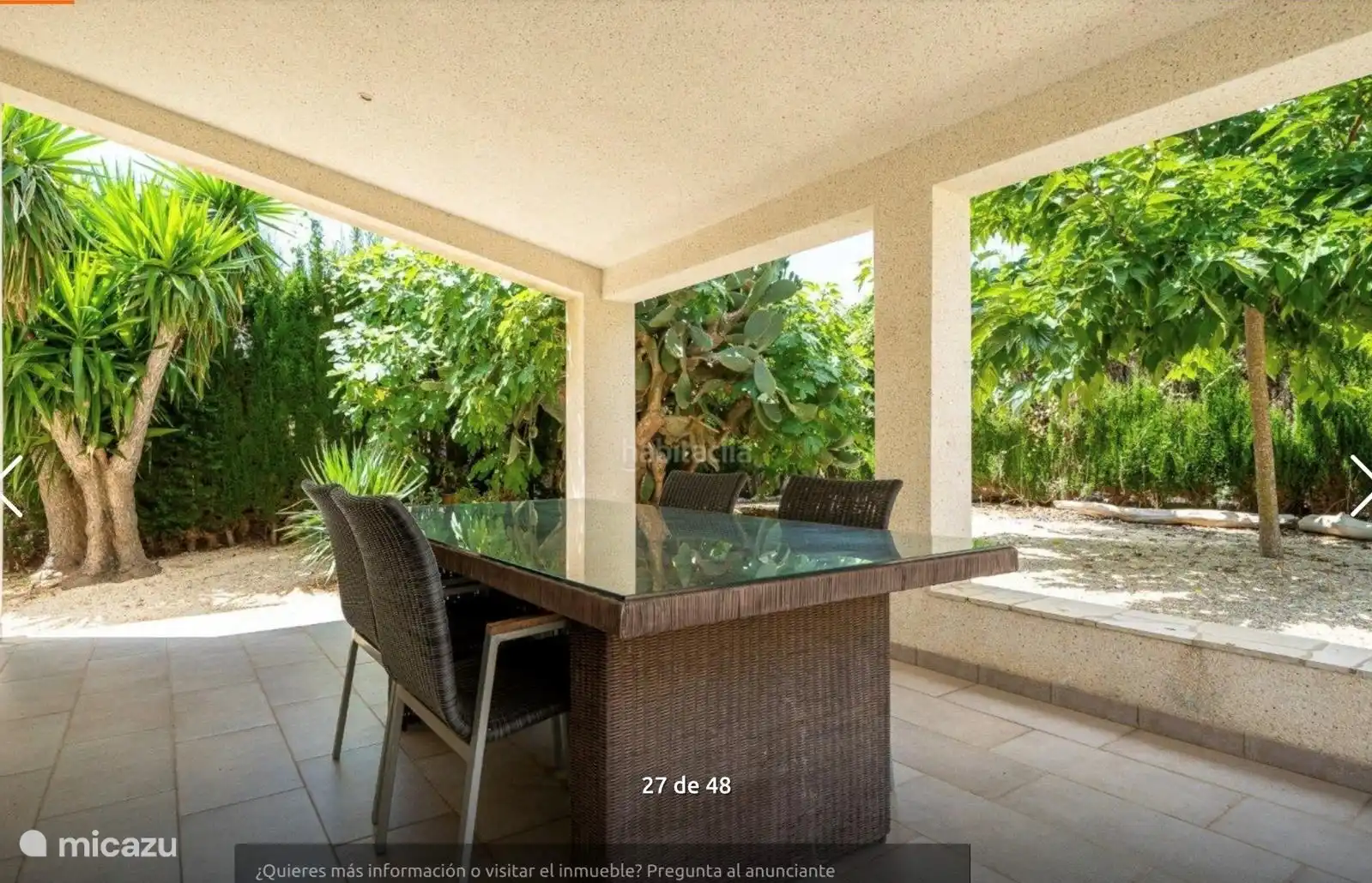 Backyard with fruit and olive trees, large covered terrace and stone bbq.
