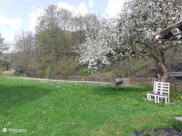 Location de Vacances Allemagne, Sauerland, Bad Laasphe, maison de vacances - Ancienne maison de forestier Wittgenstein Fleurs de pommier dans la cour