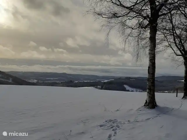 Location de Vacances Allemagne, Sauerland, Bad Laasphe, maison de vacances - Ancienne maison de forestier Wittgenstein Paysage sous la neige