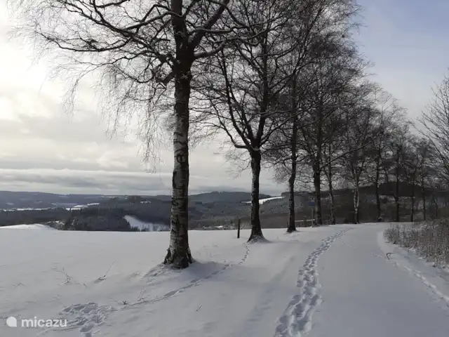 Location de Vacances Allemagne, Sauerland, Bad Laasphe, maison de vacances - Ancienne maison de forestier Wittgenstein Randonnée dans la neige