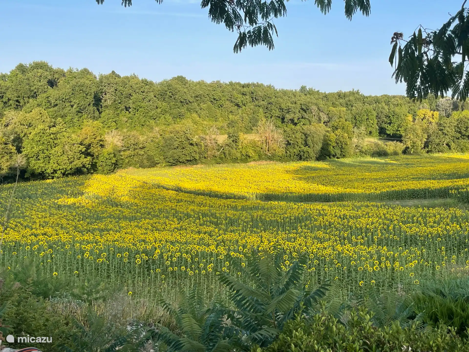 Vista desde la casa rural. 