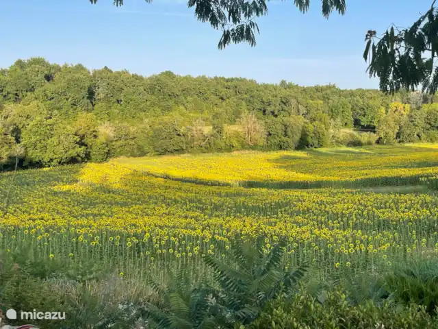Le Nourrissat  | France, Lot-et-Garonne, Savignac-de-Duras - maison de vacances Vue depuis le gîte.