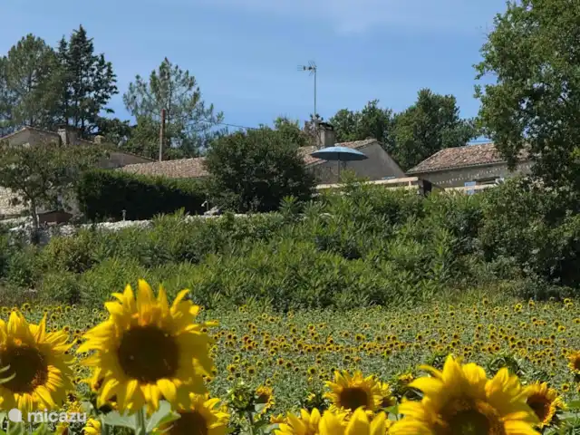 Le Nourrissat  | France, Lot-et-Garonne, Savignac-de-Duras - maison de vacances Du champ de tournesol une photo « en haut »
