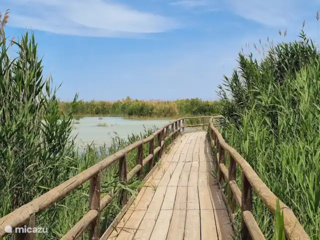 Soleil - Villamartin | Espagne, Costa Blanca, Villamartin - appartement Parmi d’autres beaux parcs naturels à proximité - Parque Natural El Hondo