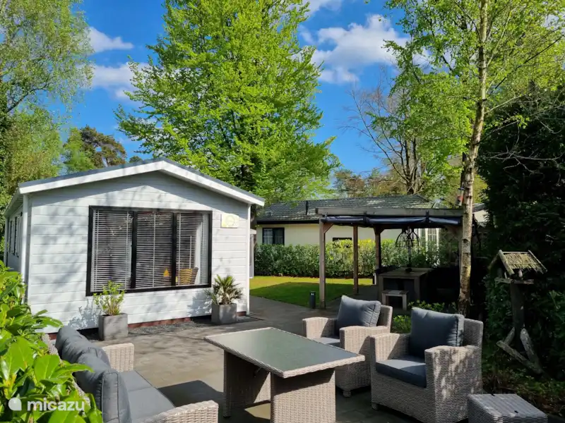Pouillot fitis | Pays-Bas, Gueldre, Beekbergen - Chalet Pouillot fitis | Pays-Bas, Gueldre, Beekbergen - Chalet