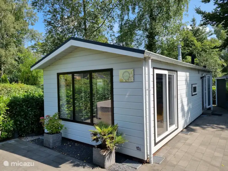 Pouillot fitis | Pays-Bas, Gueldre, Beekbergen - Chalet Pouillot fitis | Pays-Bas, Gueldre, Beekbergen - Chalet