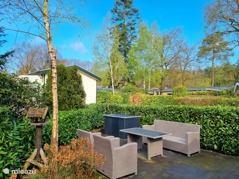 Pouillot fitis | Pays-Bas, Gueldre, Beekbergen - Chalet Pouillot fitis | Pays-Bas, Gueldre, Beekbergen - Chalet