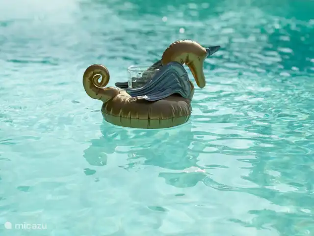 Clot des Tilleuls en Francia, Lot y Garona, Masquières - casa rural / cabaña ¿Beber junto a la piscina?