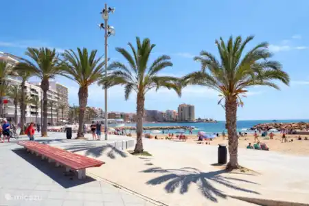 Lien vers le guide de voyage Torrevieja
