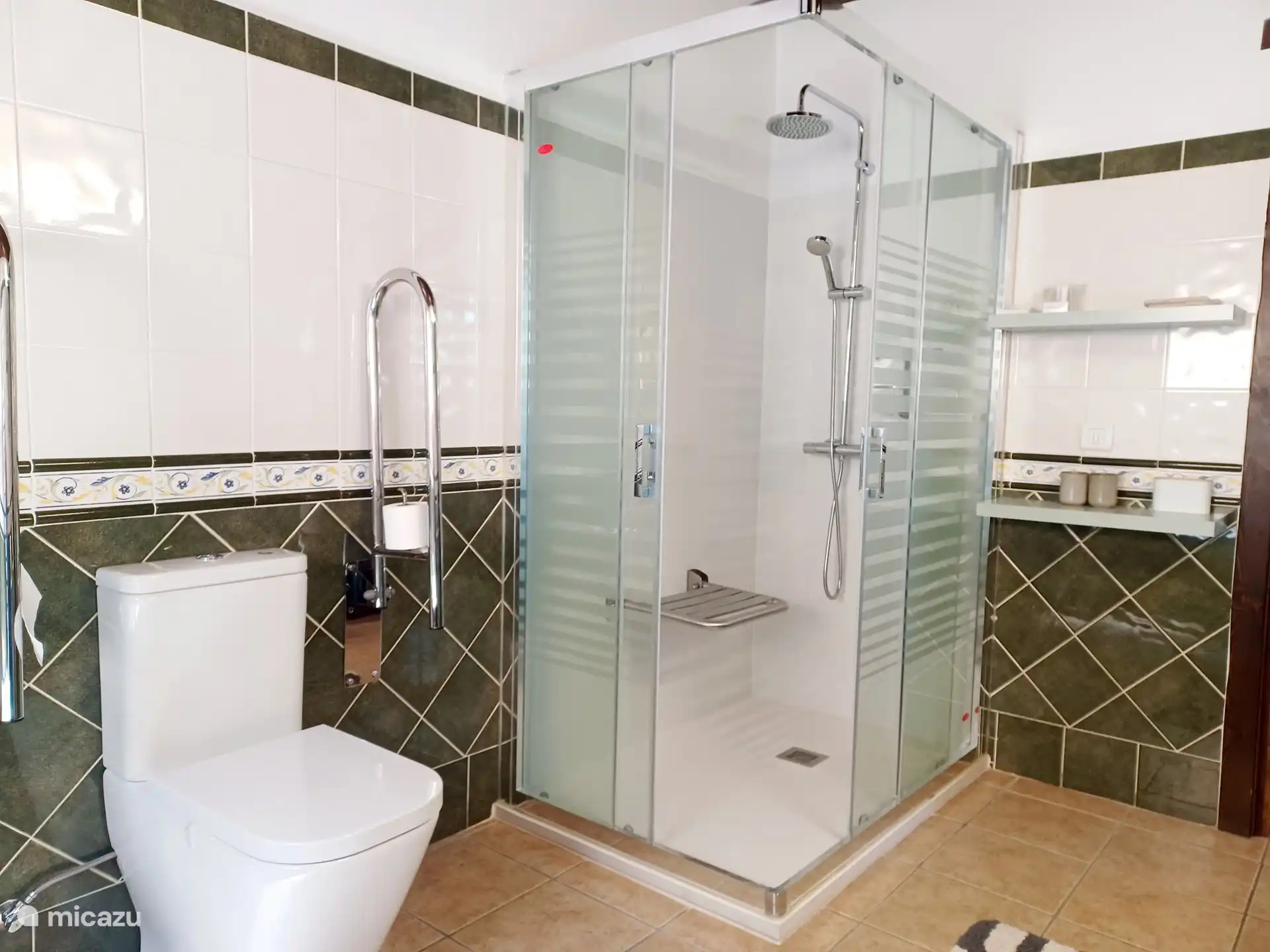 Badezimmer im Erdgeschoss / mit Armlehnen an der Toilette und Sitz in der Dusche