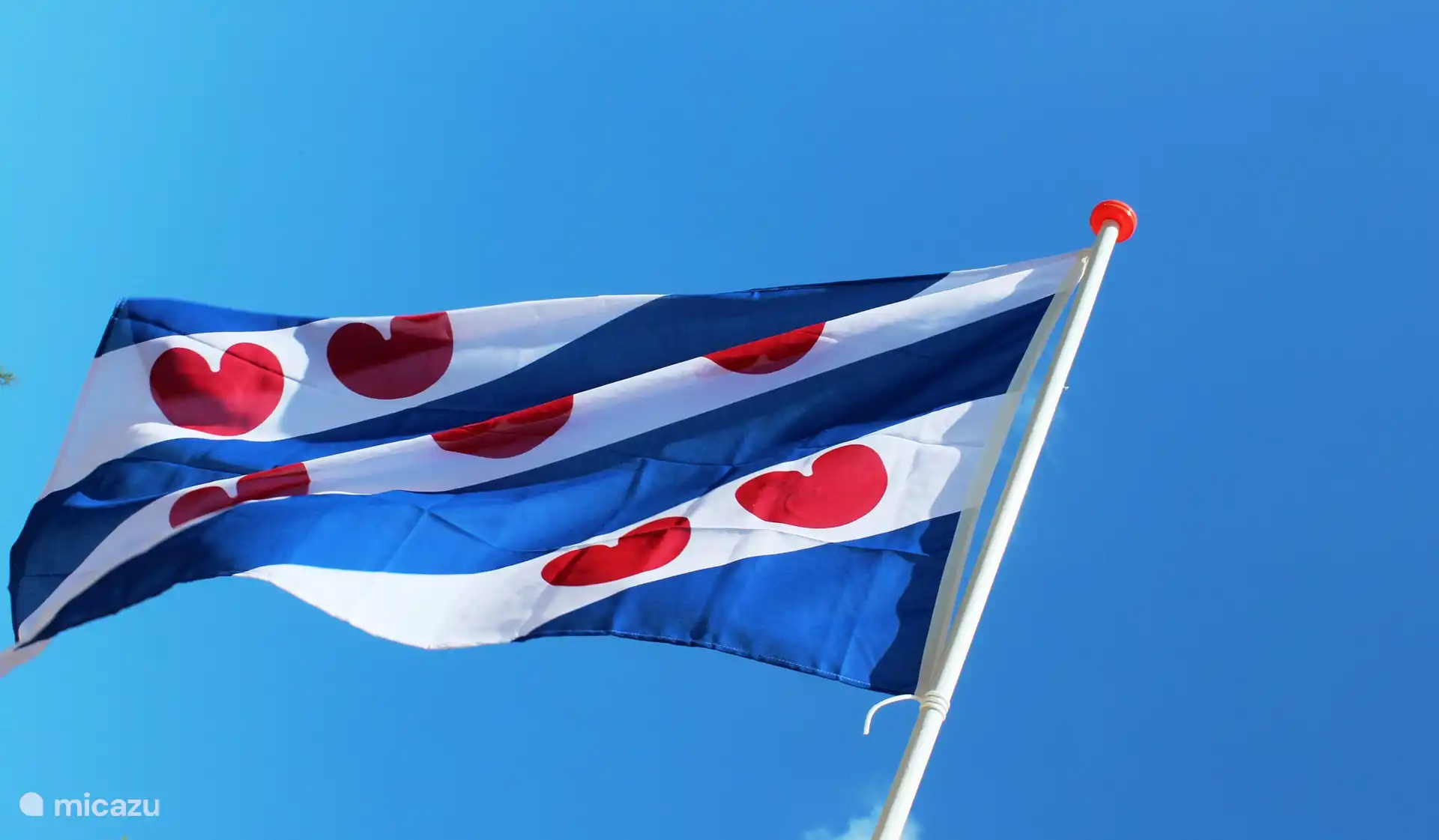 Die friesische Flagge 