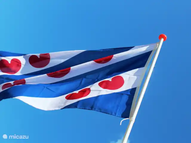 Lidiomar | Pays-Bas, Frise, Sondel - bungalow Le drapeau frison