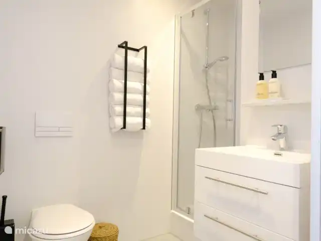 Boldiek - Landelijk huren in Nederland, Gelderland, Halle - appartement Badkamer.